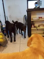 processed/97f37335-b343-490d-a913-2d44b06dbca4/facility/512701a1-f6c2-49a3-ace1-1c05ab687c55