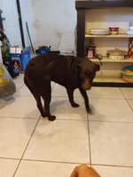 processed/97f37335-b343-490d-a913-2d44b06dbca4/facility/6de20317-0623-4d3d-be0f-cd71aa908b55