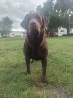 processed/97f37335-b343-490d-a913-2d44b06dbca4/facility/ae8d888d-b57e-406f-bf1c-ad6eee885b29