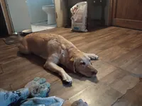 processed/97f37335-b343-490d-a913-2d44b06dbca4/facility/cdc2023c-37e0-4ed4-80ec-66da39a31c9e