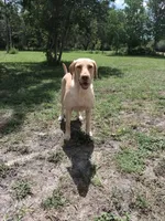 processed/97f37335-b343-490d-a913-2d44b06dbca4/facility/e0b24f8d-fa20-43e2-980f-37e1006846be