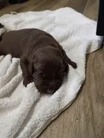 processed/97f37335-b343-490d-a913-2d44b06dbca4/listing/ab07fedd-a20b-45d8-9ef9-87a4966e97fc/68a39774-d545-4292-a8dd-229f9c3f185b