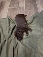 processed/97f37335-b343-490d-a913-2d44b06dbca4/listing/ab07fedd-a20b-45d8-9ef9-87a4966e97fc/8f2e2699-4d94-47e7-8b93-95bf6fb4d478