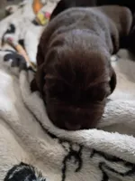 processed/97f37335-b343-490d-a913-2d44b06dbca4/listing/ab07fedd-a20b-45d8-9ef9-87a4966e97fc/b15369d7-7621-4970-b3c1-d8a8d4cb22ff