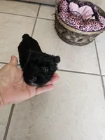 processed/97fc23d0-c8b9-4277-b946-117a34fd505d/listing/a1068d42-36cb-4324-8cc3-432aa9c94a6a/3268a8c7-b983-4687-83a9-1a154f3bc350