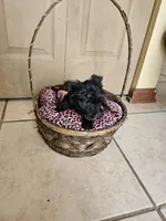 processed/97fc23d0-c8b9-4277-b946-117a34fd505d/listing/a1068d42-36cb-4324-8cc3-432aa9c94a6a/643a54de-55d9-4e67-9258-edffd3e81fc3