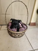 processed/97fc23d0-c8b9-4277-b946-117a34fd505d/listing/a1068d42-36cb-4324-8cc3-432aa9c94a6a/df608d01-3a40-43b8-8a88-e0407611b080