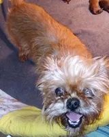 processed/9810c51f-7706-444b-94b3-9eabdf27254c/facility/dca39fd2-c32e-4b52-bd6e-231338580daa