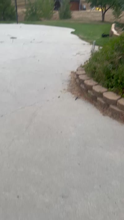 Facility video