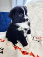 processed/9817d90e-d249-4a2c-91df-0e8ffeb89840/listing/1e34d3a7-89bd-4fd5-903b-6072f61862a7/90efe565-c749-47b9-96af-6ae34fd9117d