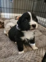 processed/9817d90e-d249-4a2c-91df-0e8ffeb89840/listing/1e34d3a7-89bd-4fd5-903b-6072f61862a7/b7d7c4ec-714e-4d79-ae52-d80213a4268d