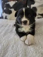 processed/9817d90e-d249-4a2c-91df-0e8ffeb89840/listing/1e34d3a7-89bd-4fd5-903b-6072f61862a7/bcef312a-d97f-4a55-8ef2-60fff4fbf520