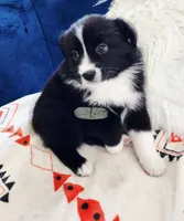 processed/9817d90e-d249-4a2c-91df-0e8ffeb89840/listing/1e34d3a7-89bd-4fd5-903b-6072f61862a7/bdfdf926-8a17-4958-b0af-69f5d92f7717