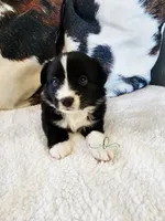 processed/9817d90e-d249-4a2c-91df-0e8ffeb89840/listing/1e34d3a7-89bd-4fd5-903b-6072f61862a7/c58ebfb3-746b-4c7c-8d4d-1541f99edd56