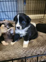 processed/9817d90e-d249-4a2c-91df-0e8ffeb89840/listing/1e34d3a7-89bd-4fd5-903b-6072f61862a7/c5ba2d0a-f31a-4345-94c2-7592b117351c