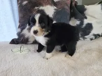 processed/9817d90e-d249-4a2c-91df-0e8ffeb89840/listing/2496d709-1037-43b9-a60d-076dad1c8e0f/304c1ffa-473f-48dd-8f72-76b91e3c108d