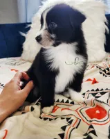 processed/9817d90e-d249-4a2c-91df-0e8ffeb89840/listing/2496d709-1037-43b9-a60d-076dad1c8e0f/4b93f22d-dd81-4d54-ae39-dd641ba782cc