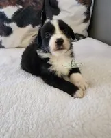 processed/9817d90e-d249-4a2c-91df-0e8ffeb89840/listing/2496d709-1037-43b9-a60d-076dad1c8e0f/6049df4b-22eb-46af-9984-ce2f89912264