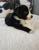 processed/9817d90e-d249-4a2c-91df-0e8ffeb89840/listing/2496d709-1037-43b9-a60d-076dad1c8e0f/9e8f45af-e9ab-4034-a84a-a1a68f0c3854