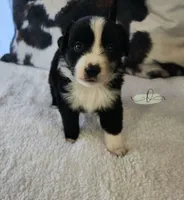 processed/9817d90e-d249-4a2c-91df-0e8ffeb89840/listing/2496d709-1037-43b9-a60d-076dad1c8e0f/a1c43170-46e1-49e5-b9d3-289574696ea7