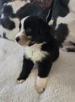 processed/9817d90e-d249-4a2c-91df-0e8ffeb89840/listing/2496d709-1037-43b9-a60d-076dad1c8e0f/dd5f2994-0800-4d7c-ab5b-56c585566d96