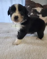 processed/9817d90e-d249-4a2c-91df-0e8ffeb89840/listing/2496d709-1037-43b9-a60d-076dad1c8e0f/fd1bf8fd-c720-4ed9-a314-f6591d5b82a1