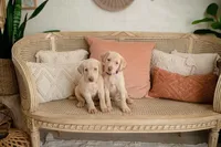 processed/981c62ea-c13a-4c62-9158-ec30f535b9f0/facility/75221cab-bef1-441f-a7b1-ef782282565f