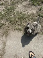 processed/982ca318-19b4-4942-b040-19edcfca514a/facility/73b1969b-dce0-4018-905e-65135ffe10ce