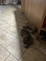 processed/982ca318-19b4-4942-b040-19edcfca514a/facility/9c58c7bc-45ca-4cfc-9d57-82a40640f7af