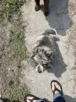 processed/982ca318-19b4-4942-b040-19edcfca514a/facility/fd7024f2-50e3-42ec-b227-6d30f1d1748b