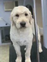 processed/98333c5b-acee-497a-a780-d9d43176aa86/facility/06ae5539-c054-4850-9ef8-f64288d8c129