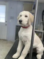 processed/98333c5b-acee-497a-a780-d9d43176aa86/facility/11d25ccc-891e-4679-99a6-864c372276c5