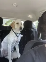 processed/98333c5b-acee-497a-a780-d9d43176aa86/facility/b27a01e4-66d5-46ab-8794-4d60e29d332d