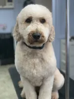 processed/98333c5b-acee-497a-a780-d9d43176aa86/facility/b8961ca5-f851-42f0-a1ad-ed1530b21112