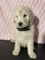 processed/98333c5b-acee-497a-a780-d9d43176aa86/listing/9bb96225-c916-4d0a-99dc-ef3bd76c1dc8/aa3673f5-214d-4363-ba74-a193b97ccbf5