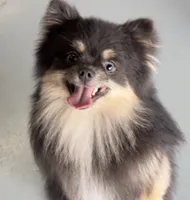 processed/983b53aa-5f10-46d4-bf92-d87a698645f4/listing/5be31fb0-bbad-4c3b-8359-a5fa67adc20b/2c84e30d-3729-4722-9805-608c4bdd9ab8