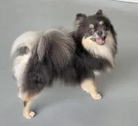 processed/983b53aa-5f10-46d4-bf92-d87a698645f4/listing/5be31fb0-bbad-4c3b-8359-a5fa67adc20b/e0f0023f-f8d9-4be9-9faa-2cf041139d90