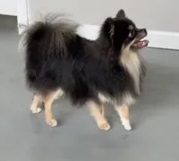 processed/983b53aa-5f10-46d4-bf92-d87a698645f4/listing/5be31fb0-bbad-4c3b-8359-a5fa67adc20b/fe8765e4-927d-4b85-bd89-4b65fb947011