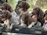 processed/984228fc-f040-45ad-8211-0ab67a571f56/facility/5553344d-4600-4cea-962c-ad2e3d8913b1