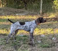 processed/984228fc-f040-45ad-8211-0ab67a571f56/facility/d26947d6-478a-4c13-bb20-d5793a830af5