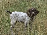 processed/984228fc-f040-45ad-8211-0ab67a571f56/facility/ed28111d-3c1d-4b09-a863-05fb362b7b86