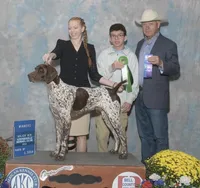 Max X Shiloh’s Rio, a male German Shorthaired Pointer for sale in Driftwood, TX – Photo 9 of 9