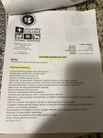 Louis, a male Miniature Schnauzer and Yorkshire Terrier for sale in Greensboro, NC – Photo 4 of 9