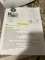 Rosie , a female Miniature Schnauzer and Yorkshire Terrier for sale in Greensboro, NC – Photo 7 of 9