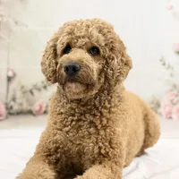 processed/9853aaed-f463-4726-bdf3-b5d2c7bda601/facility/513987ce-a4a2-4602-aa99-02254b7b43f6