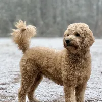 processed/9853aaed-f463-4726-bdf3-b5d2c7bda601/facility/6a975c3c-40fd-4c48-92f9-2d29247ef760