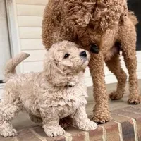 processed/9853aaed-f463-4726-bdf3-b5d2c7bda601/facility/be595d4c-6a61-4881-b7c7-3d0fa42db381