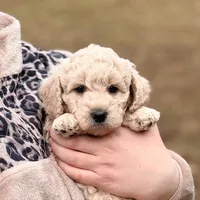 processed/9853aaed-f463-4726-bdf3-b5d2c7bda601/facility/bedfa1be-16f9-4af9-b32e-adbab5b63c3b