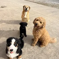 processed/9853aaed-f463-4726-bdf3-b5d2c7bda601/facility/e26b40dc-37d2-4918-b2e3-d5d07477bd34