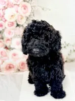 processed/9853aaed-f463-4726-bdf3-b5d2c7bda601/listing/4a7ff4c1-4642-4ba6-88ff-5f27aec92334/7f038a05-2bb0-42d9-958c-338ce2d6807e